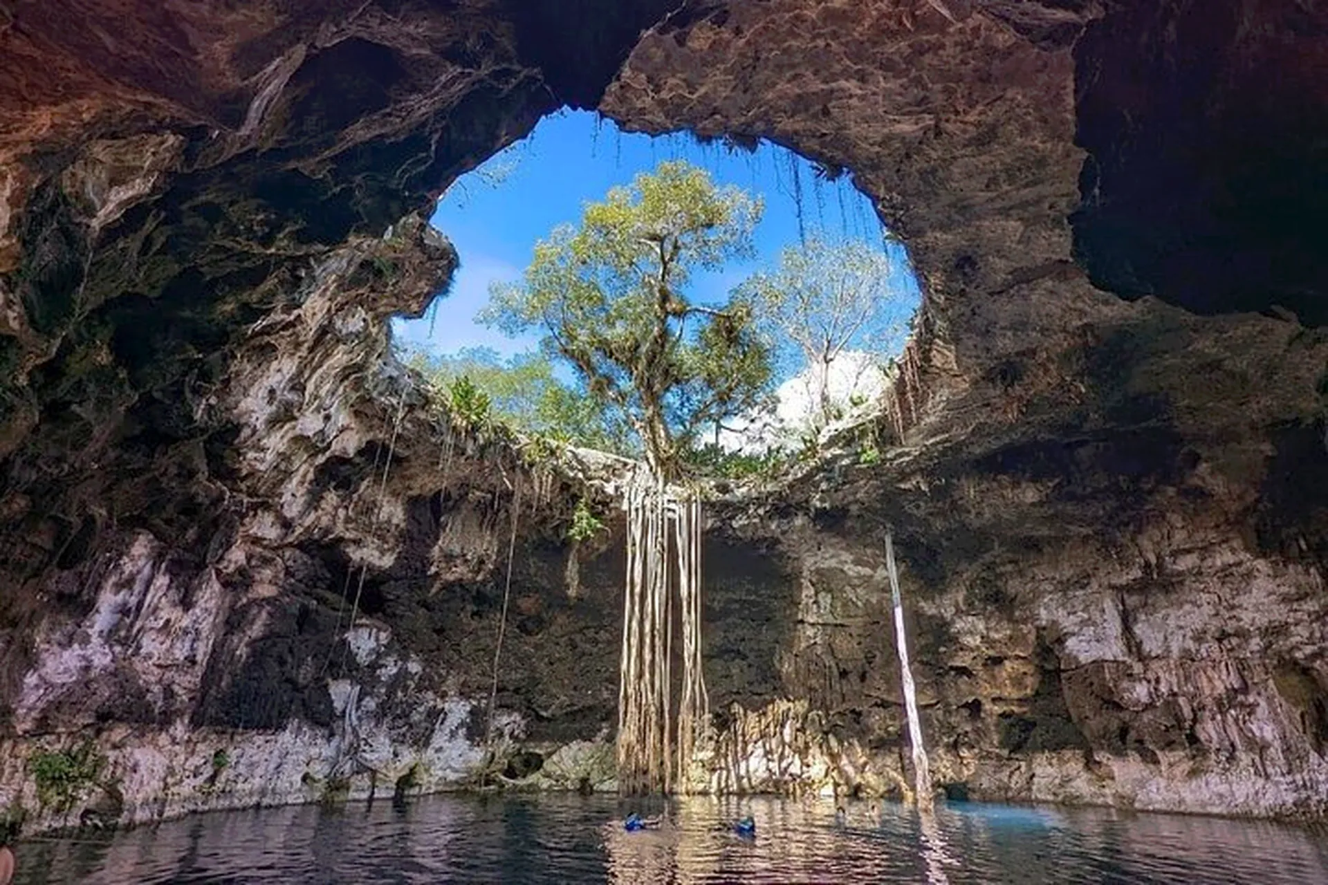 Santa Bárbara Cenotes Private Tour from Mérida — cenote in Homún, Yucatán